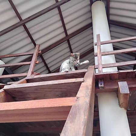 Breezy Beach Cabanas อารูกัมเบย์ ภายนอก รูปภาพ
