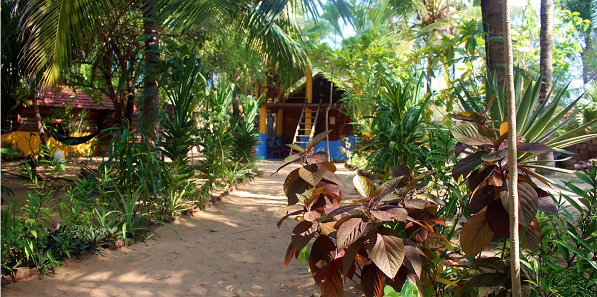 Breezy Beach Cabanas อารูกัมเบย์ ภายนอก รูปภาพ