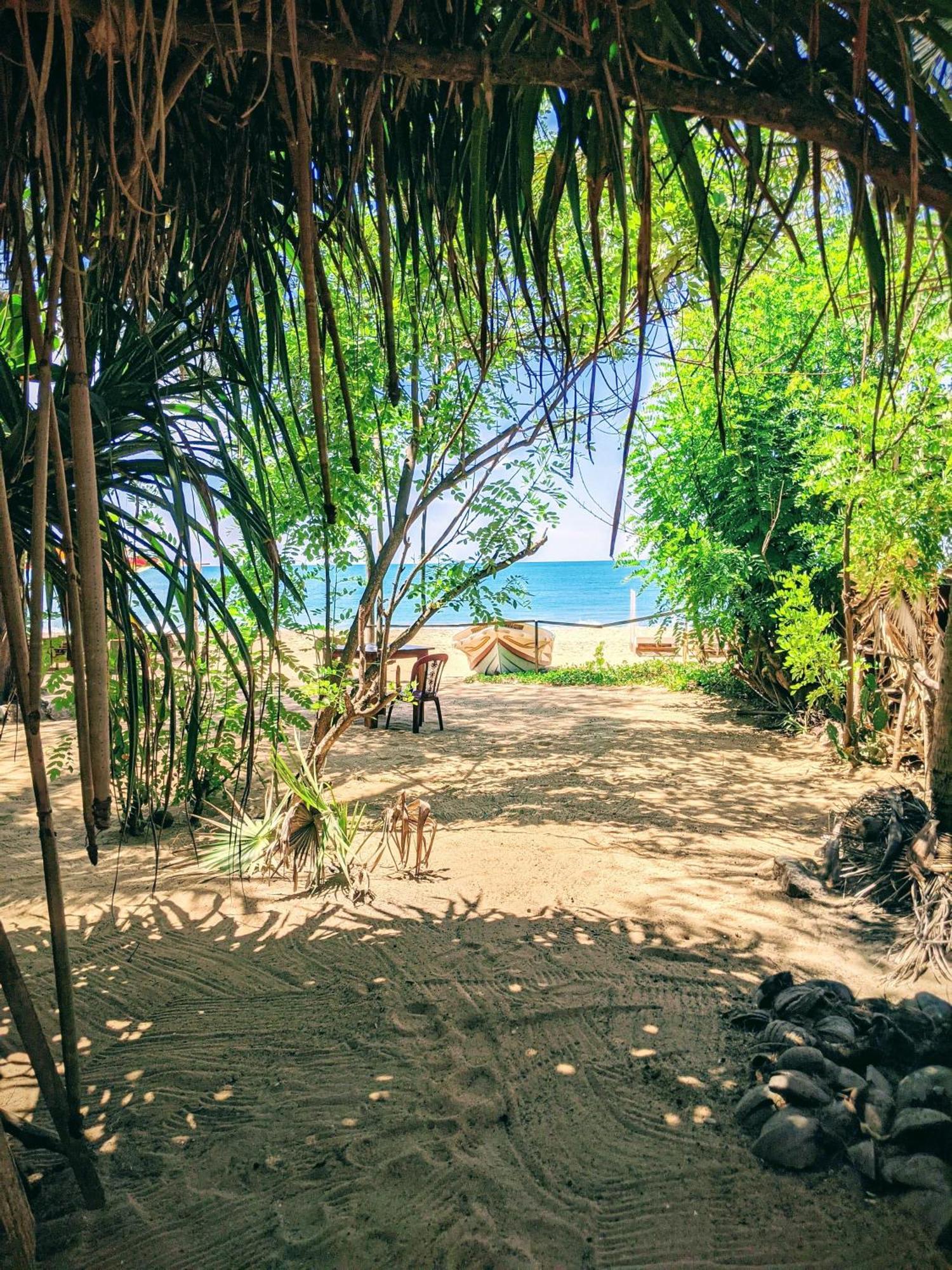 Breezy Beach Cabanas อารูกัมเบย์ ภายนอก รูปภาพ